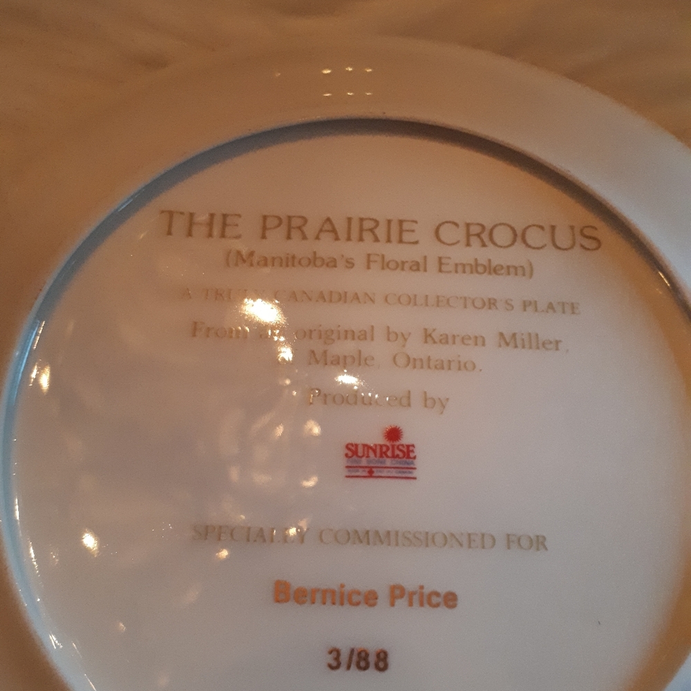 Collector plates. - Picture 5 of 9